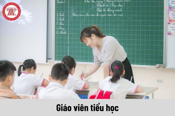 Tăng thêm một khoản thu nhập từ 01/7/2024 cho giáo viên tiểu học khi cải cách tiền lương theo Nghị quyết 27?