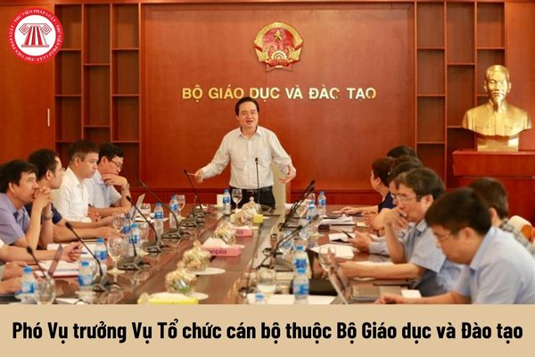 Mức phụ cấp chức vụ lãnh đạo của Phó Vụ trưởng Vụ Tổ chức cán bộ thuộc Bộ Giáo dục và Đào tạo được nhận là bao nhiêu?