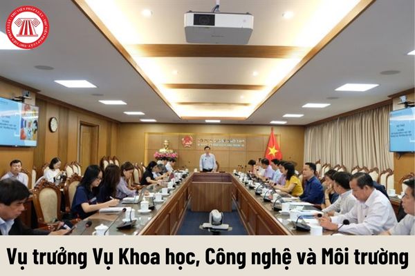 Vụ trưởng Vụ Khoa học, Công nghệ và Môi trường thuộc Bộ Giáo dục và Đào tạo được nhận mức phụ cấp chức vụ lãnh đạo là bao nhiêu?