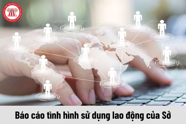 Mẫu báo cáo chuẩn về tình hình sử dụng lao động năm 2024 dành cho Sở Tây Ninh tải tại đâu?