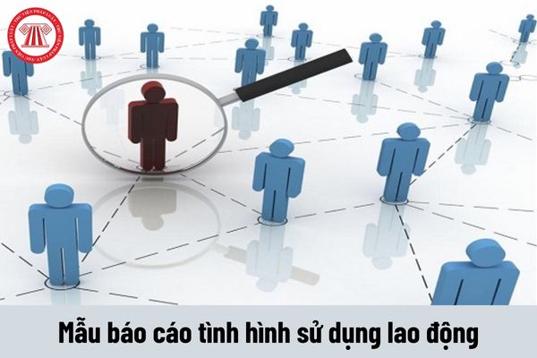 Cách điền mẫu báo cáo chuẩn về tình hình sử dụng lao động năm 2024 của Sở Bình Thuận?