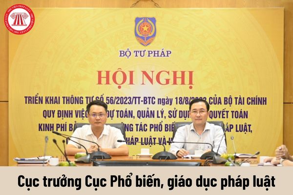 Cục trưởng Cục Phổ biến, giáo dục pháp luật được nhận mức phụ cấp chức vụ lãnh đạo là bao nhiêu?