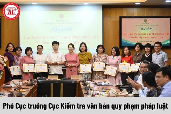 Phó Cục trưởng Cục Kiểm tra văn bản quy phạm pháp luật được nhận mức phụ cấp chức vụ lãnh đạo là bao nhiêu?