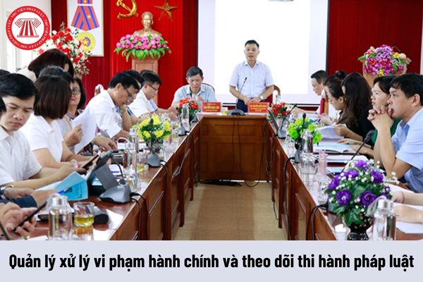 Cục trưởng Cục Quản lý xử lý vi phạm hành chính và theo dõi thi hành pháp luật được nhận mức phụ cấp chức vụ lãnh đạo là bao nhiêu?