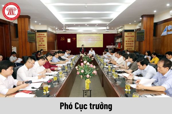 Mức phụ cấp chức vụ lãnh đạo của Phó Cục trưởng Cục Quản lý xử lý vi phạm hành chính và theo dõi thi hành pháp luật được nhận là bao nhiêu?