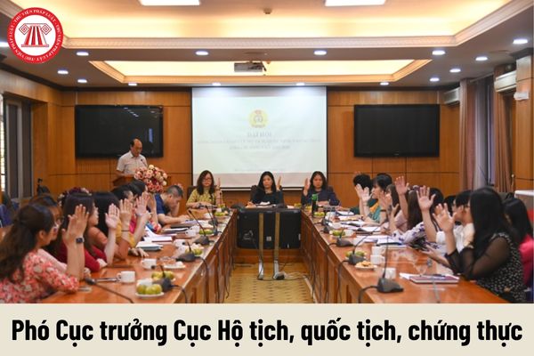 Phó Cục trưởng Cục Hộ tịch, quốc tịch, chứng thực được nhận mức phụ cấp chức vụ lãnh đạo là bao nhiêu?