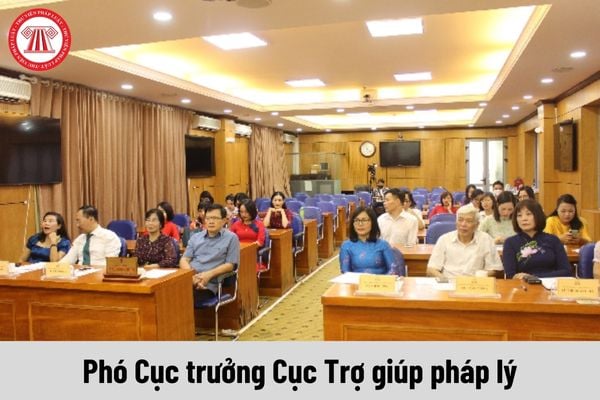 Mức phụ cấp chức vụ lãnh đạo của Phó Cục trưởng Cục Trợ giúp pháp lý được nhận là bao nhiêu?