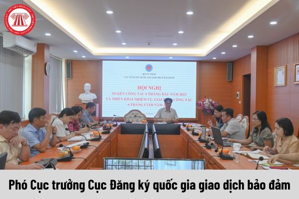 Phó Cục trưởng Cục Đăng ký quốc gia giao dịch bảo đảm được nhận mức phụ cấp chức vụ lãnh đạo là bao nhiêu?