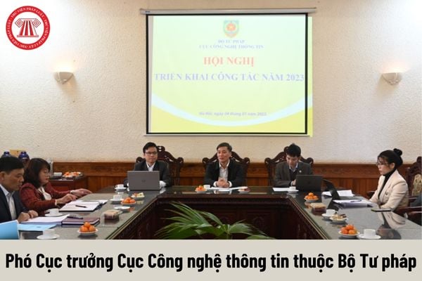 Phó Cục trưởng Cục Công nghệ thông tin thuộc Bộ Tư pháp được nhận mức phụ cấp chức vụ lãnh đạo là bao nhiêu?