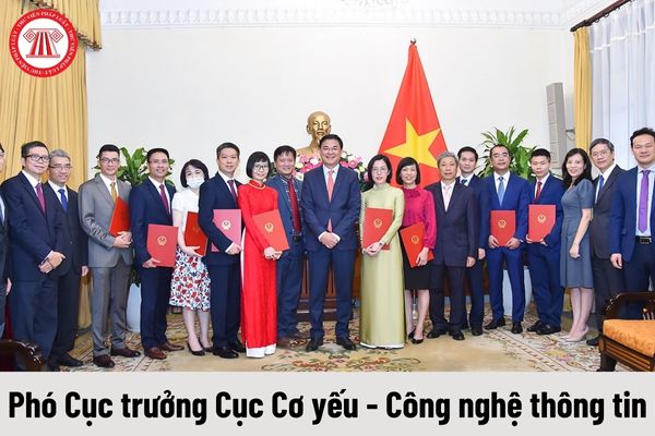 Mức phụ cấp chức vụ lãnh đạo của Phó Cục trưởng Cục Cơ yếu - Công nghệ thông tin được nhận là bao nhiêu?