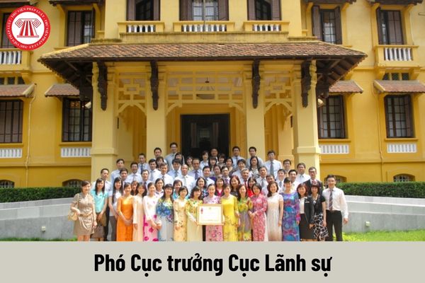 Phó Cục trưởng Cục Lãnh sự được nhận mức phụ cấp chức vụ lãnh đạo là bao nhiêu?