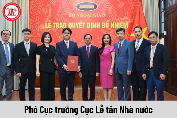 Mức phụ cấp chức vụ lãnh đạo của Phó Cục trưởng Cục Lễ tân Nhà nước được nhận là bao nhiêu?