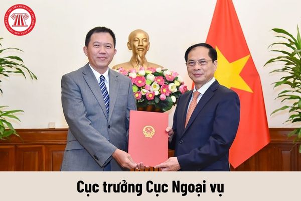 Mức phụ cấp chức vụ lãnh đạo của Cục trưởng Cục Ngoại vụ được nhận là bao nhiêu?