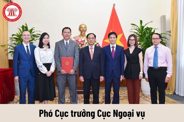 Phó Cục trưởng Cục Ngoại vụ được nhận mức phụ cấp chức vụ lãnh đạo là bao nhiêu?