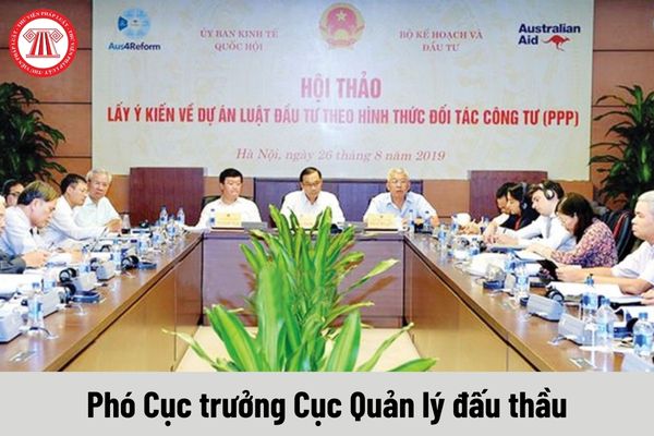 Phó Cục trưởng Cục Quản lý đấu thầu được nhận mức phụ cấp chức vụ lãnh đạo là bao nhiêu?