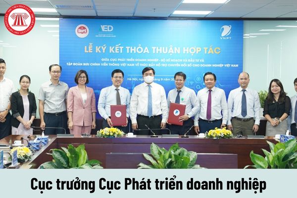 Cục trưởng Cục Phát triển doanh nghiệp được nhận mức phụ cấp chức vụ lãnh đạo là bao nhiêu?