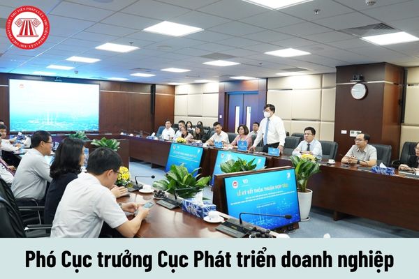 Mức phụ cấp chức vụ lãnh đạo của Phó Cục trưởng Cục Phát triển doanh nghiệp được nhận là bao nhiêu?