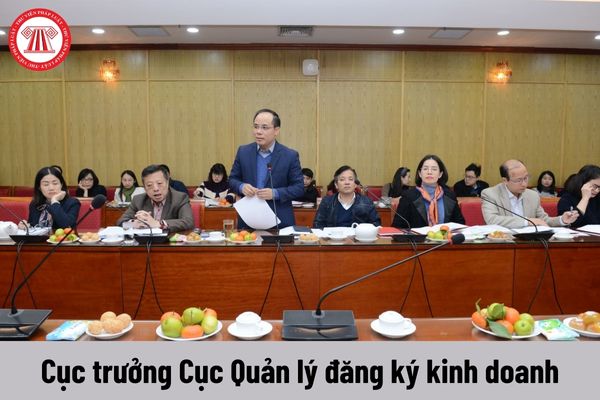 Cục trưởng Cục Quản lý đăng ký kinh doanh được nhận mức phụ cấp chức vụ lãnh đạo là bao nhiêu?