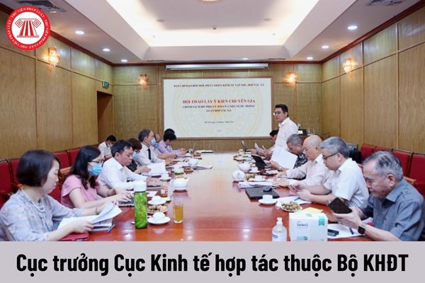 Mức phụ cấp chức vụ lãnh đạo của Cục trưởng Cục Kinh tế hợp tác thuộc Bộ KHĐT được nhận là bao nhiêu?