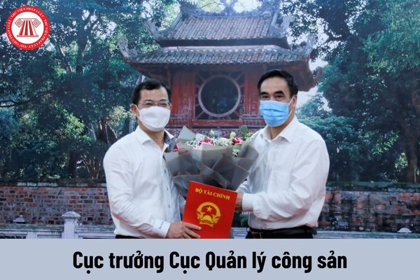 Cục trưởng Cục Quản lý công sản được nhận mức phụ cấp chức vụ lãnh đạo là bao nhiêu?