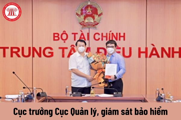 Cục trưởng Cục Quản lý, giám sát bảo hiểm được nhận mức phụ cấp chức vụ lãnh đạo là bao nhiêu?