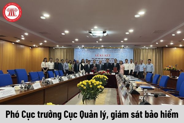 Mức phụ cấp chức vụ lãnh đạo của Phó Cục trưởng Cục Quản lý, giám sát bảo hiểm được nhận là bao nhiêu?