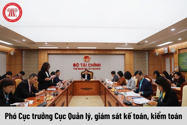 Phó Cục trưởng Cục Quản lý, giám sát kế toán, kiểm toán được nhận mức phụ cấp chức vụ lãnh đạo là bao nhiêu?