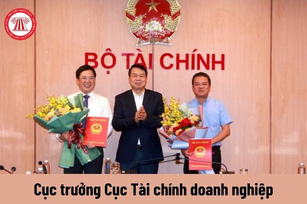 Cục trưởng Cục Tài chính doanh nghiệp được nhận mức phụ cấp chức vụ lãnh đạo là bao nhiêu?