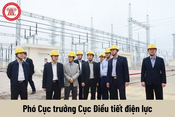 Mức phụ cấp chức vụ lãnh đạo của Phó Cục trưởng Cục Điều tiết điện lực được nhận là bao nhiêu?