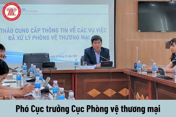 Phó Cục trưởng Cục Phòng vệ thương mại được nhận mức phụ cấp chức vụ lãnh đạo là bao nhiêu?