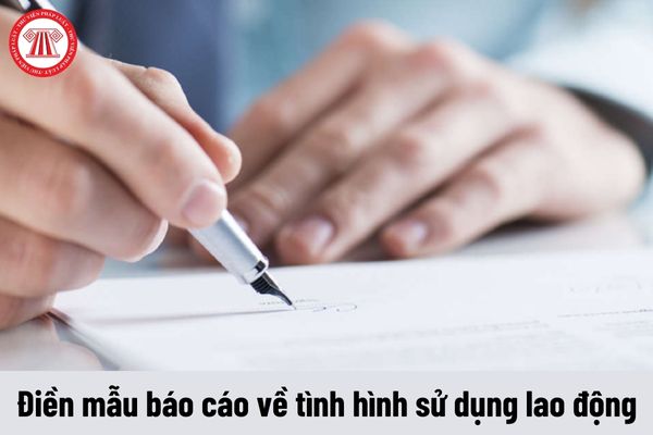 Những lưu ý khi điền mẫu báo cáo chuẩn về tình hình sử dụng lao động năm 2024 của Sở An Giang?