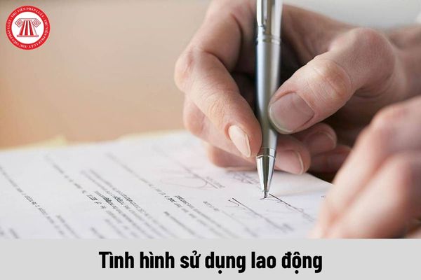 Mẫu báo cáo chuẩn về tình hình sử dụng lao động năm 2024 dành cho Sở Vĩnh Long tải tại đâu?