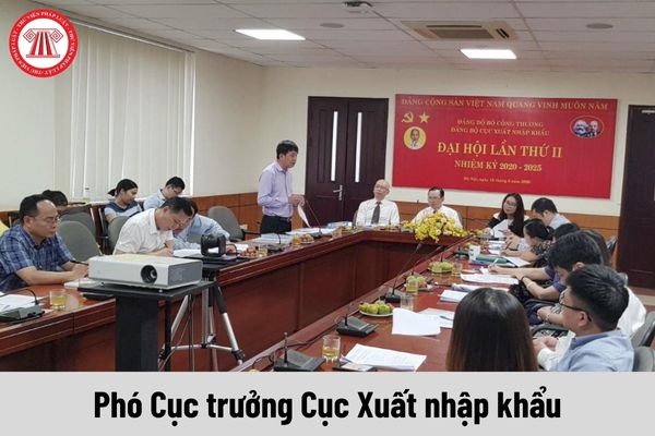 Mức phụ cấp chức vụ lãnh đạo của Phó Cục trưởng Cục Xuất nhập khẩu được nhận là bao nhiêu?