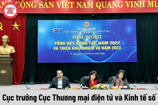 Cục trưởng Cục Thương mại điện tử và Kinh tế số được nhận mức phụ cấp chức vụ lãnh đạo là bao nhiêu?