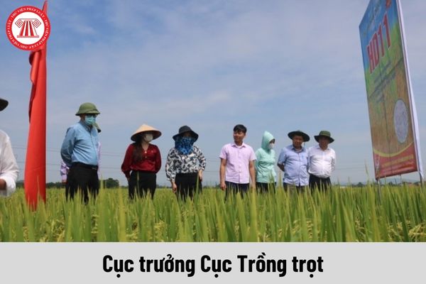 Cục trưởng Cục Trồng trọt được nhận mức phụ cấp chức vụ lãnh đạo là bao nhiêu?