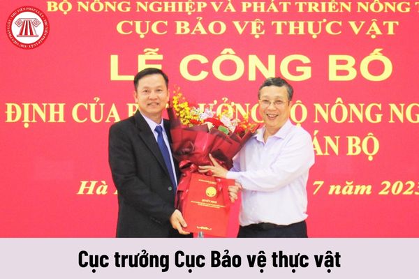 Mức phụ cấp chức vụ lãnh đạo của Cục trưởng Cục Bảo vệ thực vật được nhận là bao nhiêu?