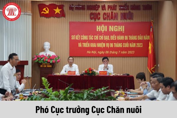 Mức phụ cấp chức vụ lãnh đạo của Phó Cục trưởng Cục Chăn nuôi được nhận là bao nhiêu?