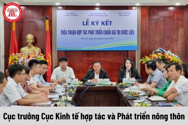 Mức phụ cấp chức vụ lãnh đạo của Cục trưởng Cục Kinh tế hợp tác và Phát triển nông thôn được nhận là bao nhiêu?