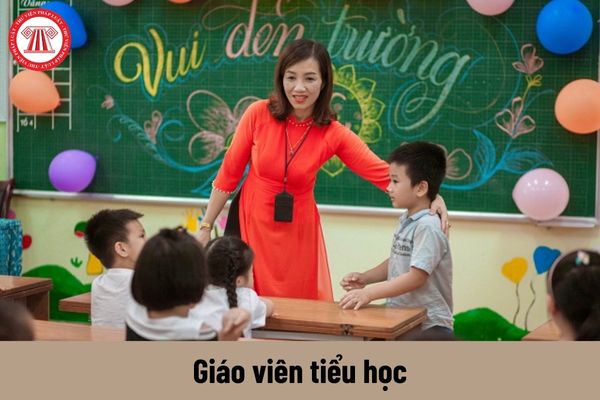 Bảng lương mới của giáo viên tiểu học từ 01/7/2024 không còn giữ hệ số lương như hiện nay?