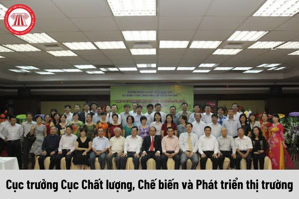 Cục trưởng Cục Chất lượng, Chế biến và Phát triển thị trường được nhận mức phụ cấp chức vụ lãnh đạo là bao nhiêu?