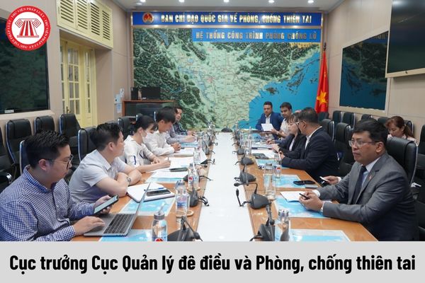 Cục trưởng Cục Quản lý đê điều và Phòng, chống thiên tai được nhận mức phụ cấp chức vụ lãnh đạo là bao nhiêu?