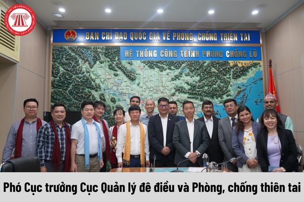 Mức phụ cấp chức vụ lãnh đạo của Phó Cục trưởng Cục Quản lý đê điều và Phòng, chống thiên tai được nhận là bao nhiêu?