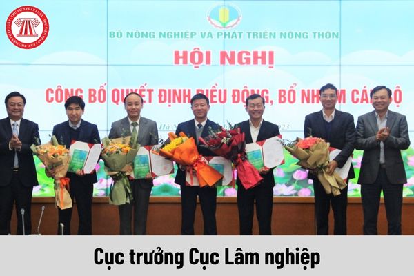 Mức phụ cấp chức vụ lãnh đạo của Cục trưởng Cục Lâm nghiệp được nhận là bao nhiêu?