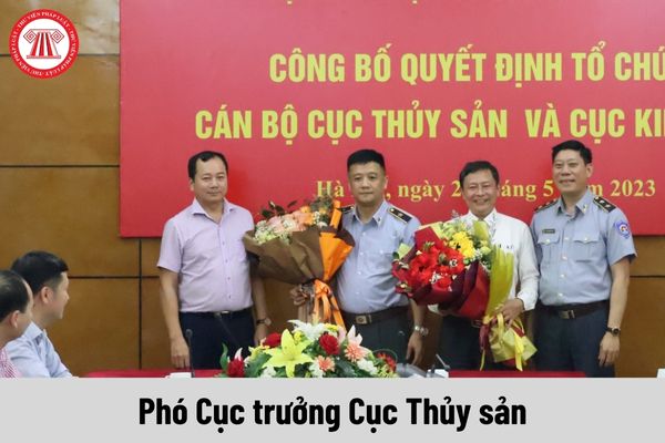 Mức phụ cấp chức vụ lãnh đạo của Phó Cục trưởng Cục Thủy sản được nhận là bao nhiêu?