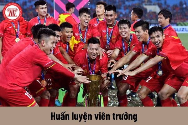 Ai sẽ là huấn luyện viên trưởng đội tuyển quốc gia Việt Nam mới?