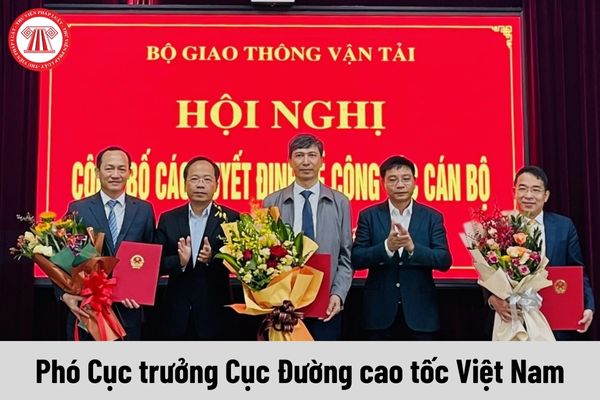 Phó Cục trưởng Cục Đường cao tốc Việt Nam được nhận mức phụ cấp chức vụ lãnh đạo là bao nhiêu?