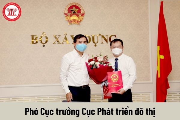 Phó Cục trưởng Cục Phát triển đô thị được nhận mức phụ cấp chức vụ lãnh đạo là bao nhiêu?