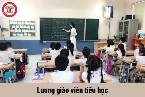 Bảng lương mới của giáo viên tiểu học từ 01/7/2024 sẽ không còn áp dụng lương cơ sở có đúng không?