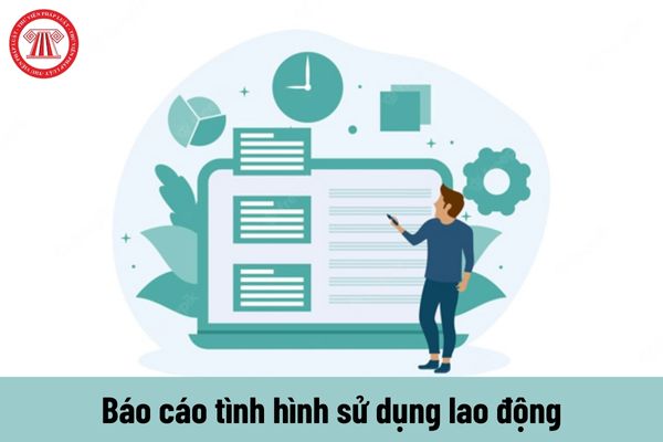 Những lưu ý khi điền mẫu báo cáo chuẩn về tình hình sử dụng lao động năm 2024 của Sở Long An?