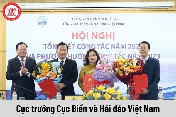 Mức phụ cấp chức vụ lãnh đạo của Cục trưởng Cục Biển và Hải đảo Việt Nam được nhận là bao nhiêu?